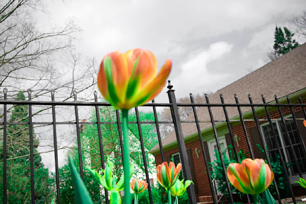 Pella 28 Photography Art | Photos By Regan