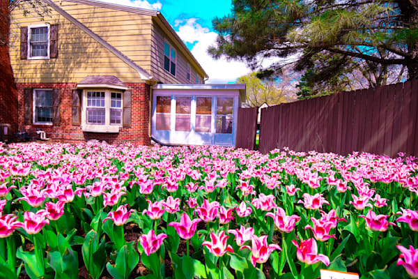 Pella 33 Photography Art | Photos By Regan