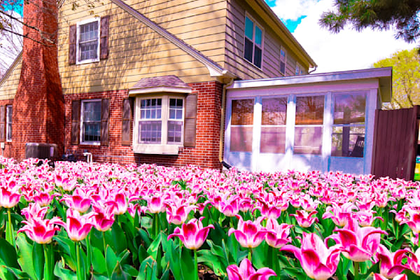 Pella 32 Photography Art | Photos By Regan