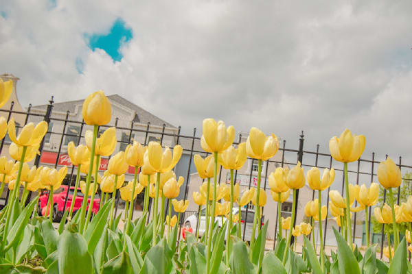 Pella 31 Photography Art | Photos By Regan