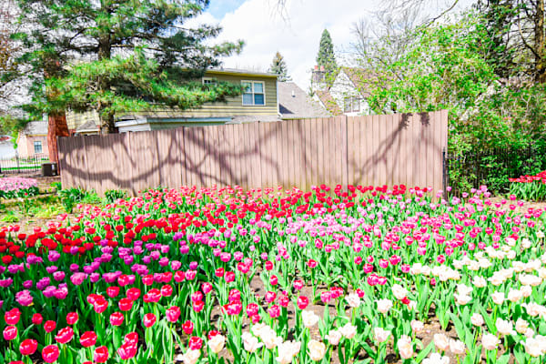 Pella 37 Photography Art | Photos By Regan