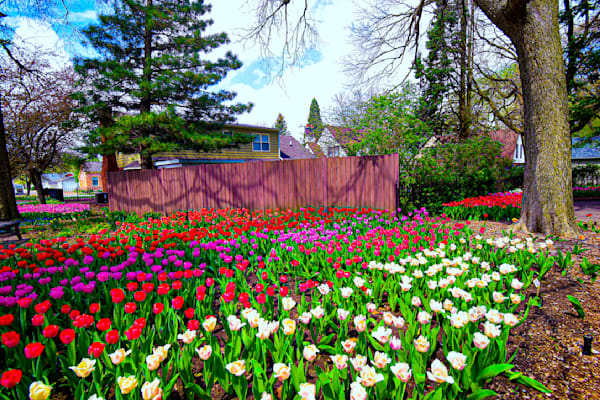 Pella 36 Photography Art | Photos By Regan