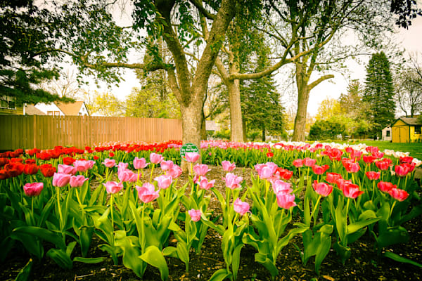 Pella 35 Photography Art | Photos By Regan