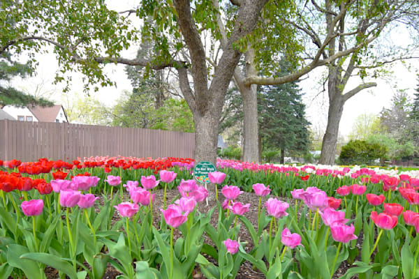 Pella 34 Photography Art | Photos By Regan