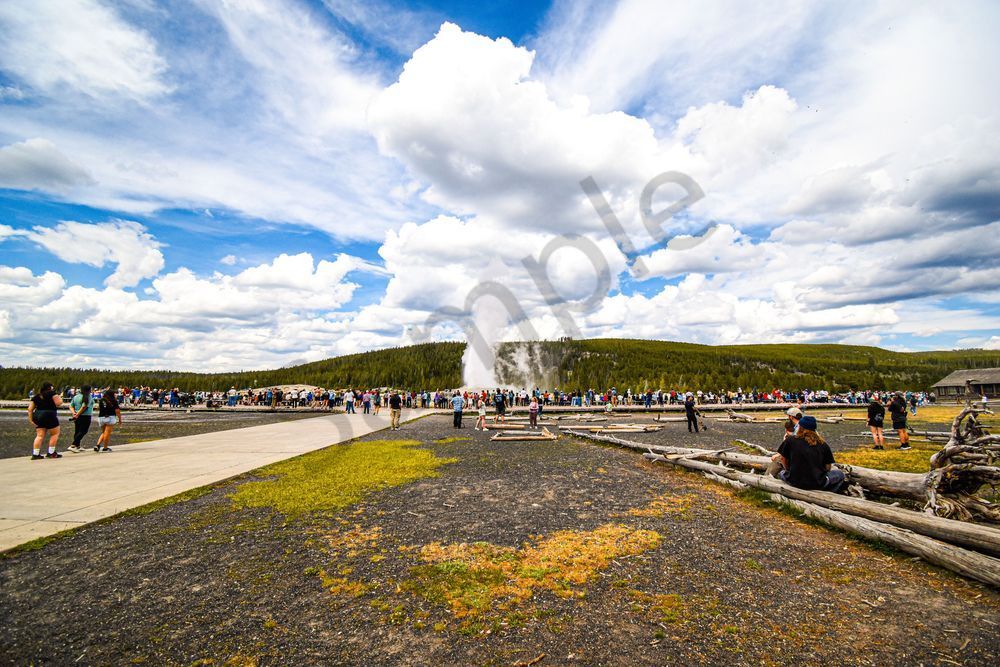 Yellowstone4 27 Photography Art | Photos By Regan