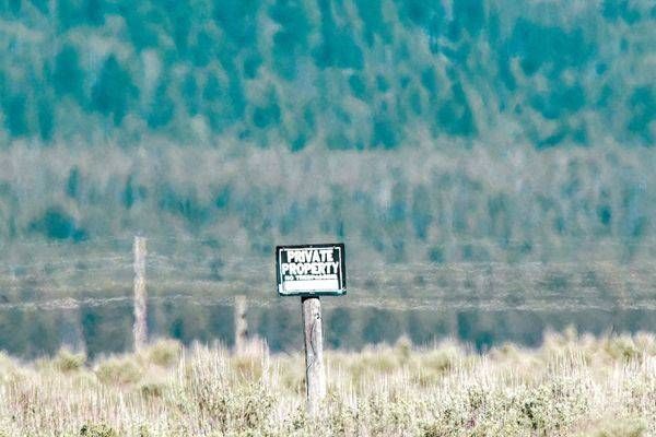 Yellowstone4 101 Photography Art | Photos By Regan