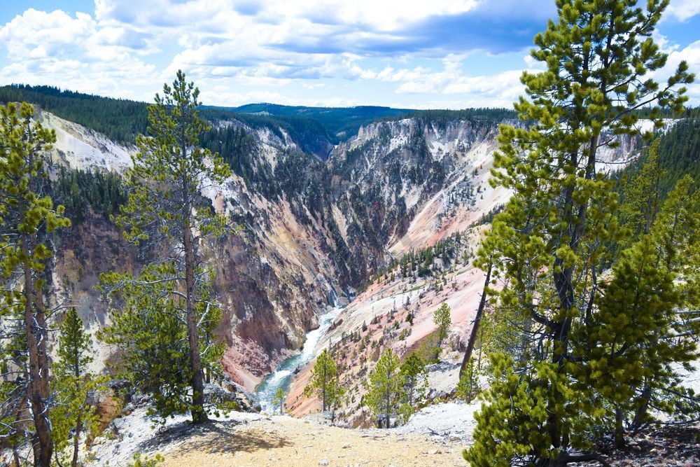 Yellowstone1 9 Photography Art | Photos By Regan