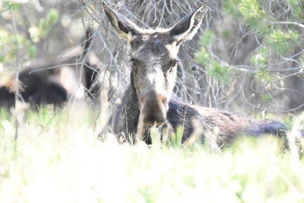Yellowstone4 162 Photography Art | Photos By Regan