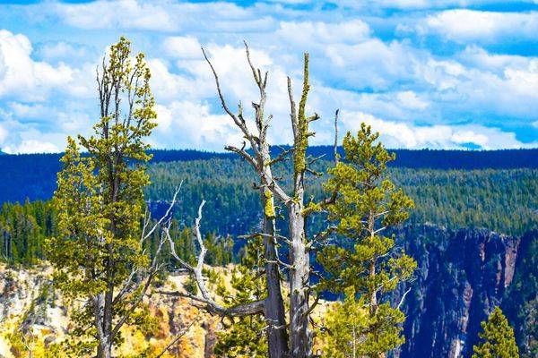 Yellowstone1 20 Photography Art | Photos By Regan