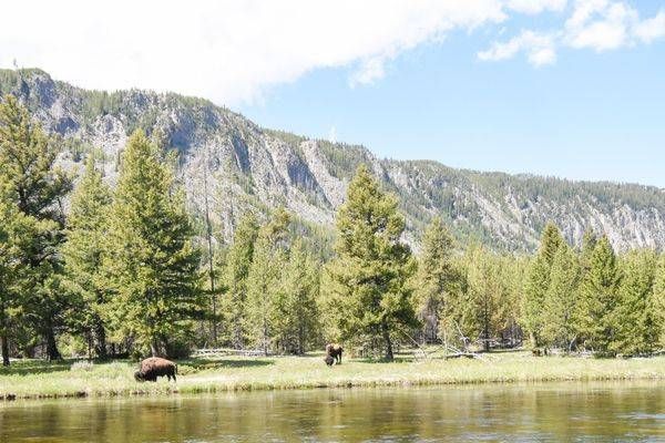 Yellowstone1 41 Photography Art | Photos By Regan