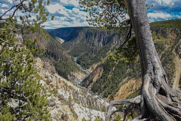 Yellowstone1 19 Photography Art | Photos By Regan