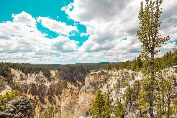 Yellowstone1 22 Photography Art | Photos By Regan