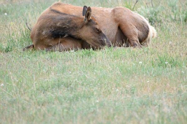 Yellowstone3 84 Photography Art | Photos By Regan