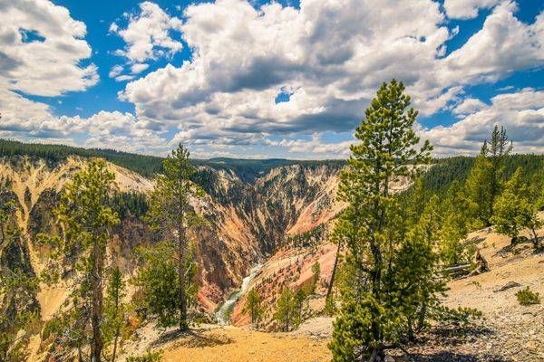 Yellowstone1 11 Photography Art | Photos By Regan