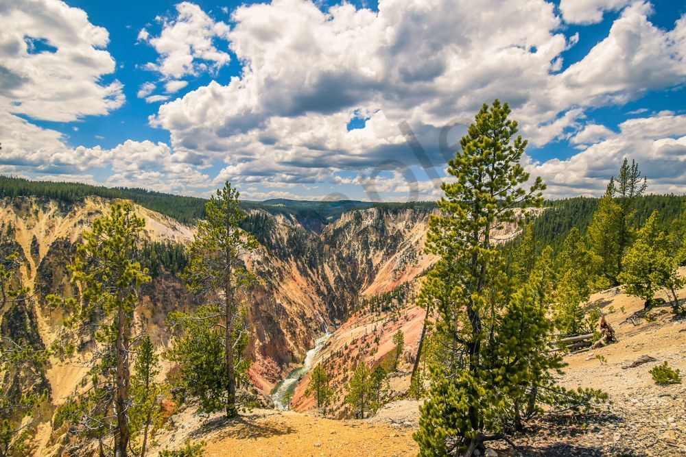 Yellowstone1 11 Photography Art | Photos By Regan