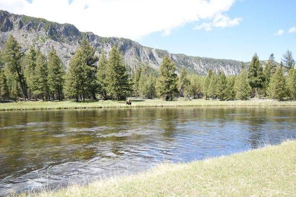 Yellowstone1 45 Photography Art | Photos By Regan