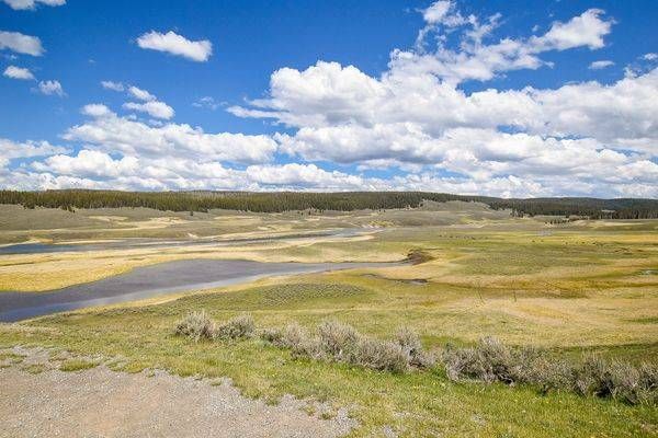 Yellowstone1 3 Photography Art | Photos By Regan