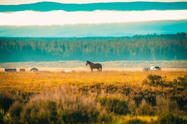 Yellowstone2 26 Photography Art | Photos By Regan