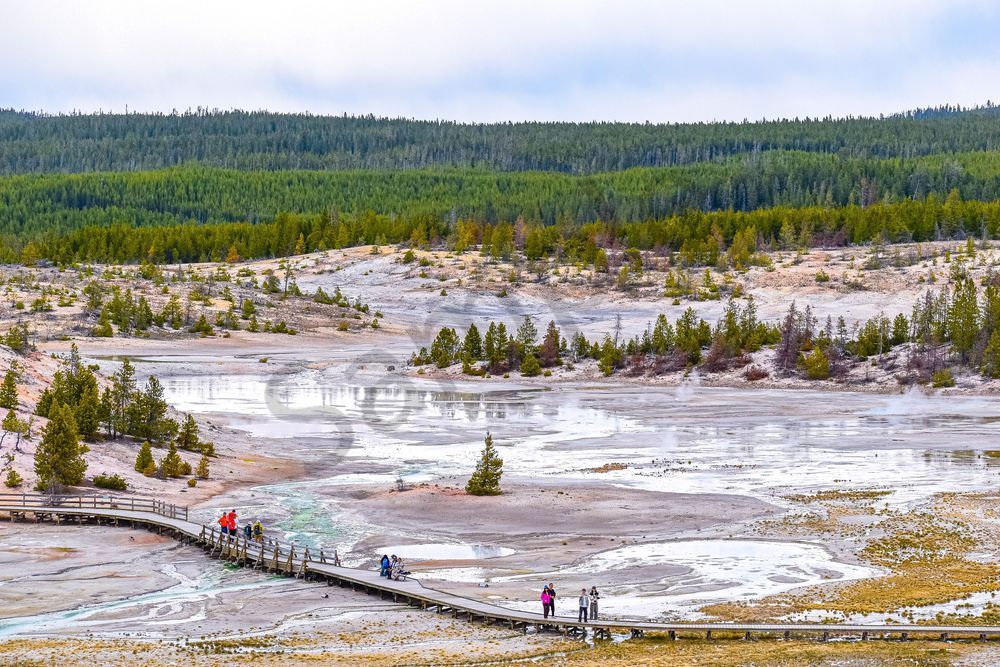 Yellowstone3 106 Photography Art | Photos By Regan