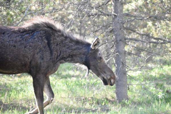 Yellowstone4 90 Photography Art | Photos By Regan