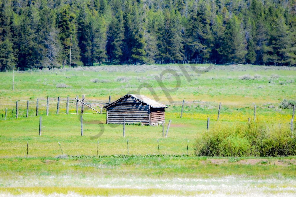 Yellowstone5 3 Photography Art | Photos By Regan