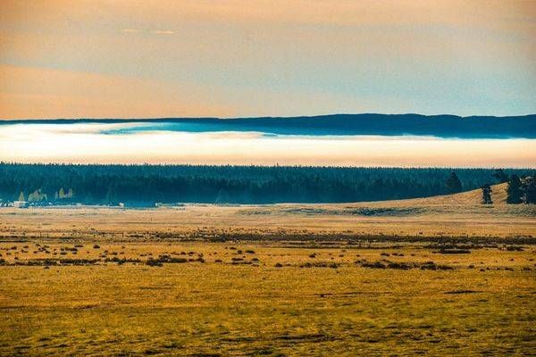 Yellowstone2 30 Photography Art | Photos By Regan