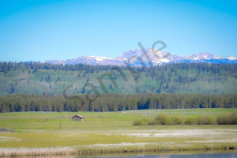 Yellowstone5 20 Photography Art | Photos By Regan