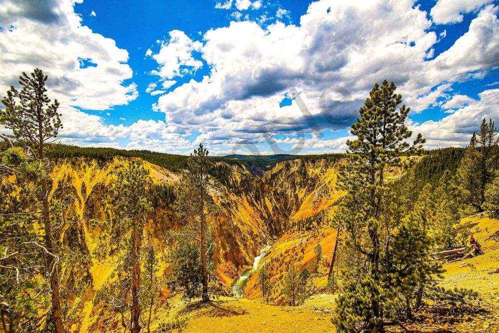 Yellowstone1 10 Photography Art | Photos By Regan