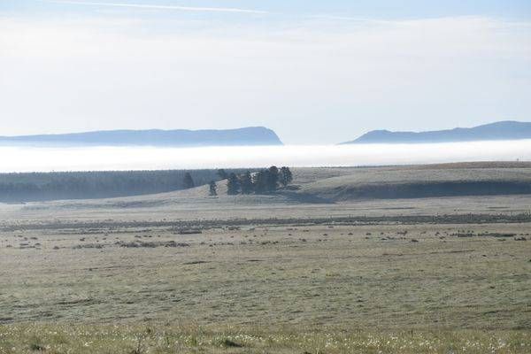 Yellowstone2 32 Photography Art | Photos By Regan