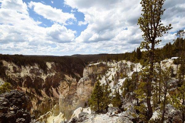 Yellowstone1 21 Photography Art | Photos By Regan
