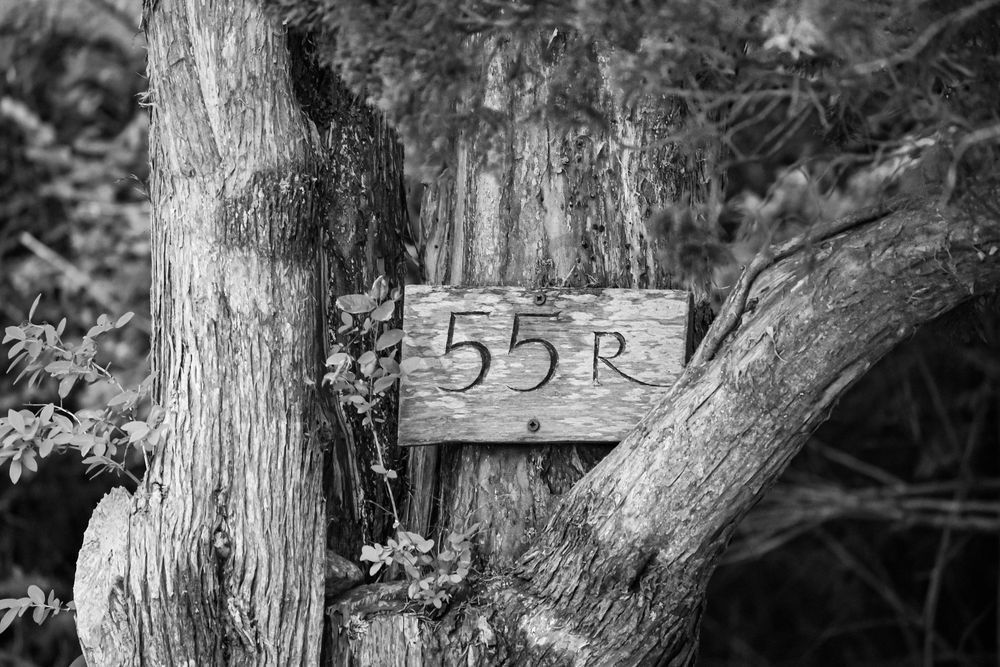 Friday 01 Photography Art | Photos By Regan