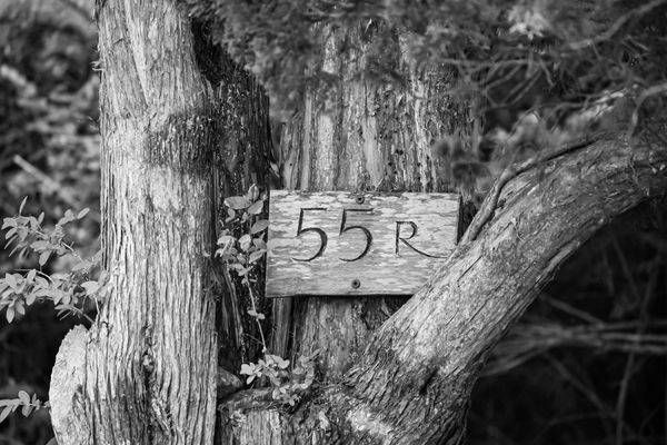 Friday 01 Photography Art | Photos By Regan