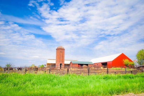 Earlham Drive 33 Photography Art | Photos By Regan