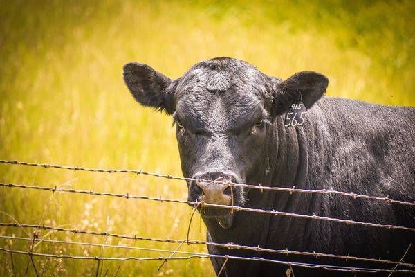 Earlham Drive 32 Photography Art | Photos By Regan