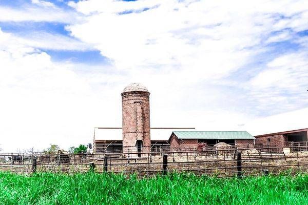 Earlham Drive 34 Photography Art | Photos By Regan