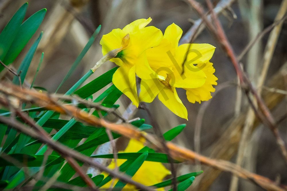Buzzards Bay 43 Photography Art | Photos By Regan