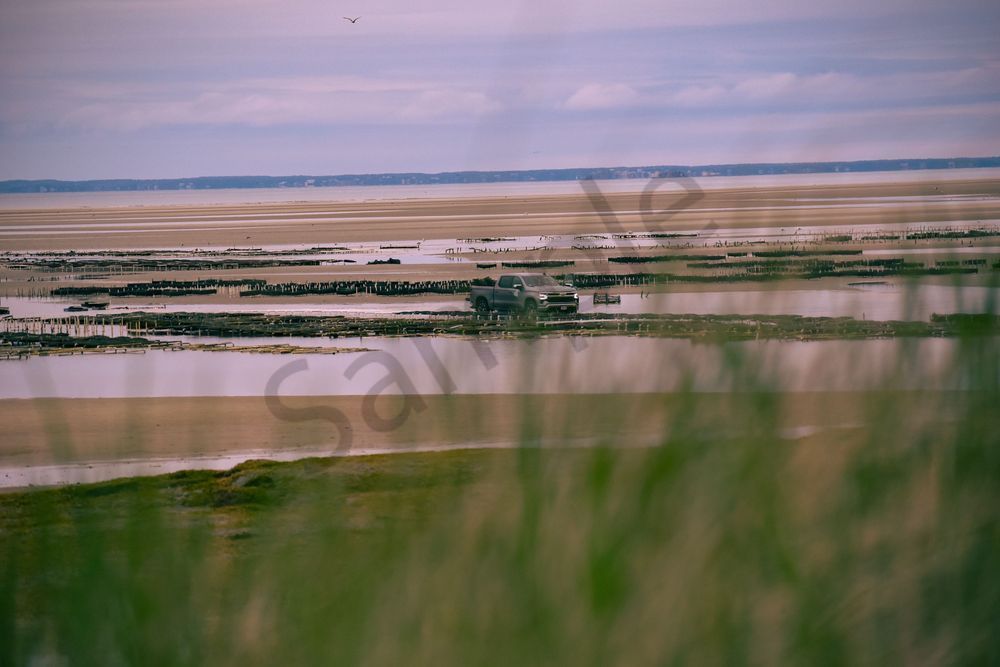Crowes Pasture 40 Photography Art | Photos By Regan