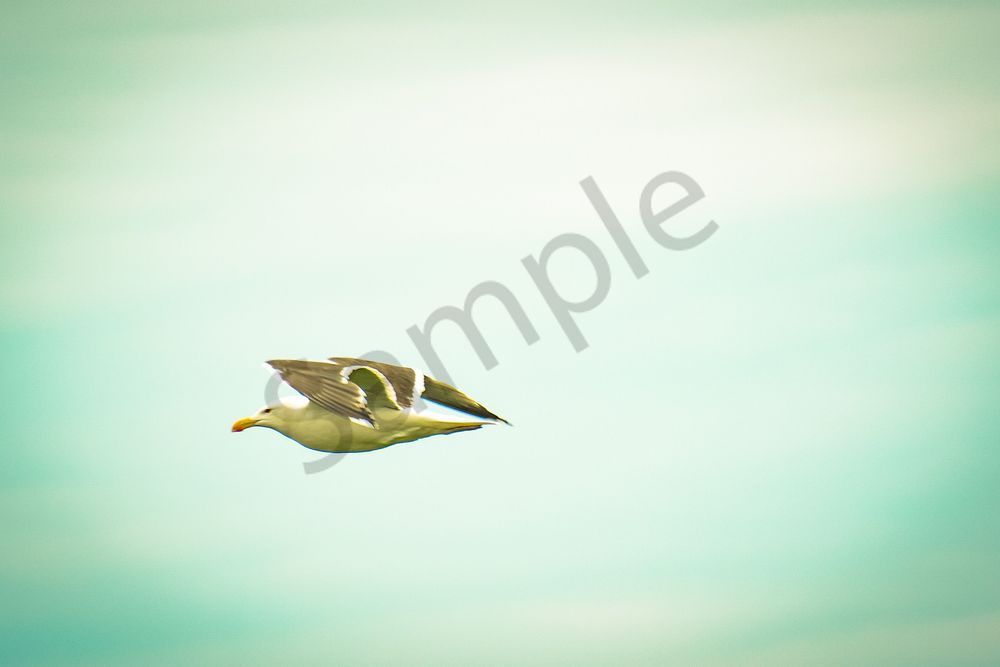 Monday 14 Photography Art | Photos By Regan