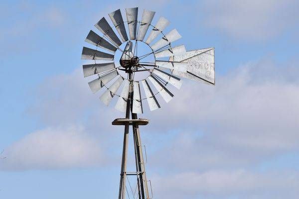 Birds And Farms 5 Photography Art | Photos By Regan