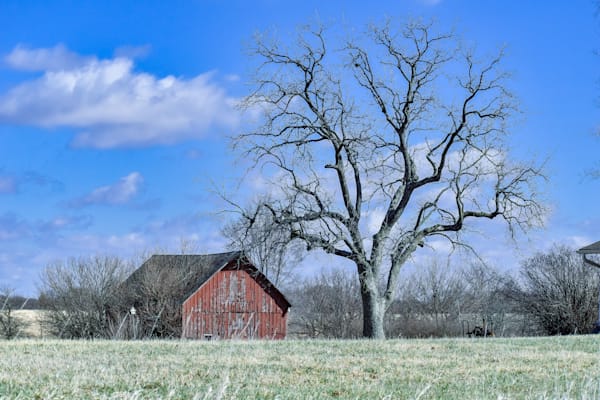 Birds And Farms 3 Photography Art | Photos By Regan