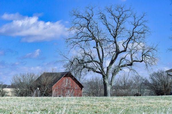 Birds And Farms 3 Photography Art | Photos By Regan