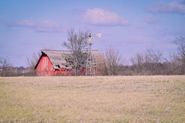 Birds And Farms 1 Photography Art | Photos By Regan