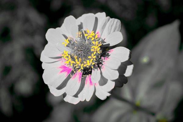 August  2024 367 Photography Art | Photos By Regan
