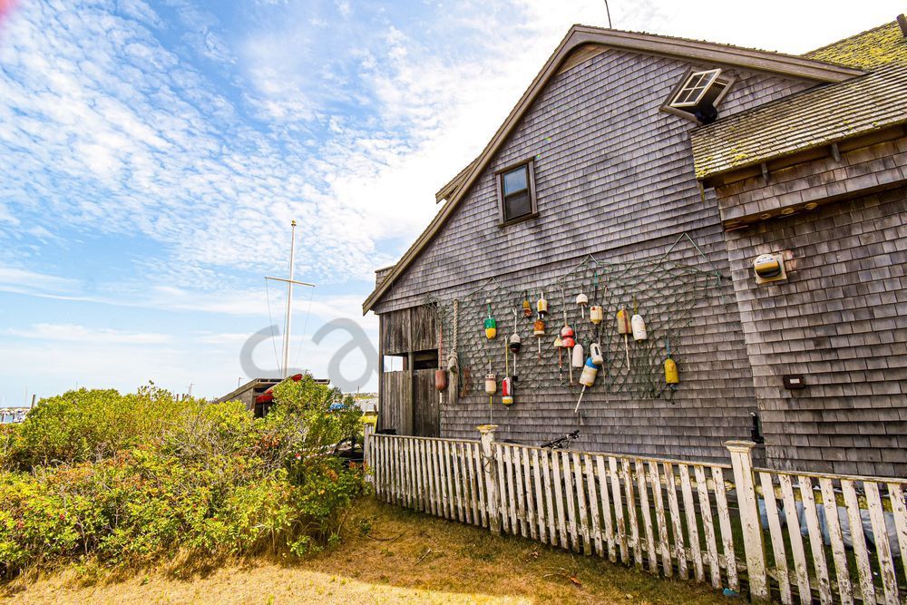 August 2025 451 Photography Art | Photos By Regan