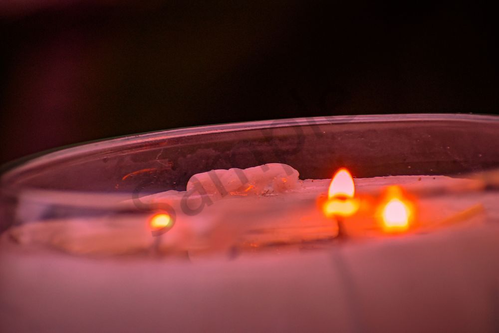 August 2025 1442 Photography Art | Photos By Regan
