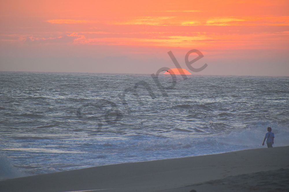 August 2025 328 Photography Art | Photos By Regan