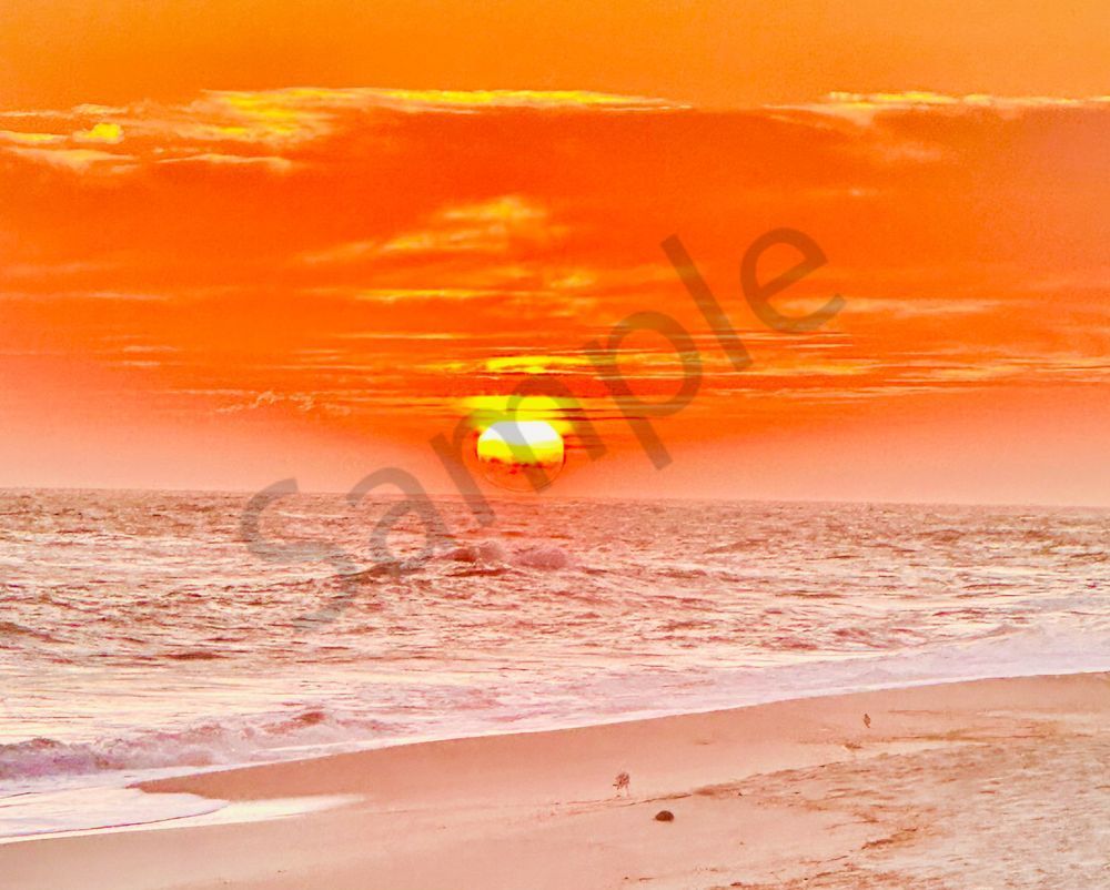 August 2025 324 Photography Art | Photos By Regan