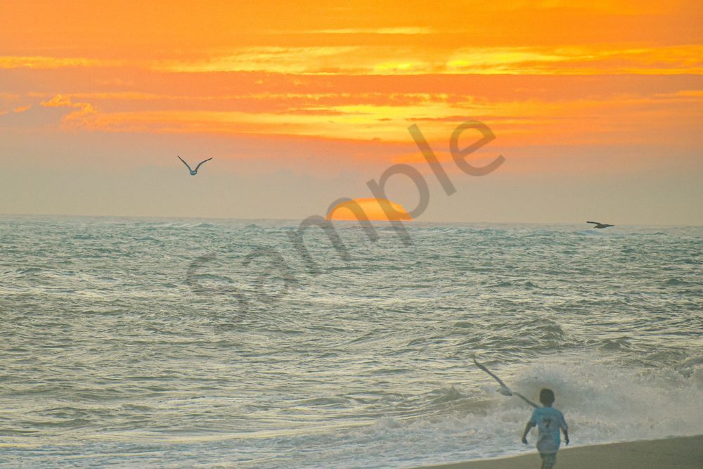 August 2025 330 Photography Art | Photos By Regan