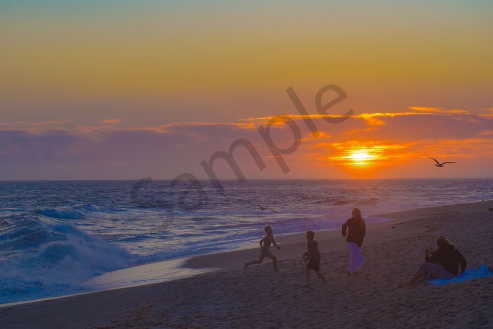 August 2025 355 Photography Art | Photos By Regan