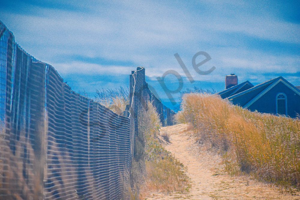 August 2025 285 Photography Art | Photos By Regan